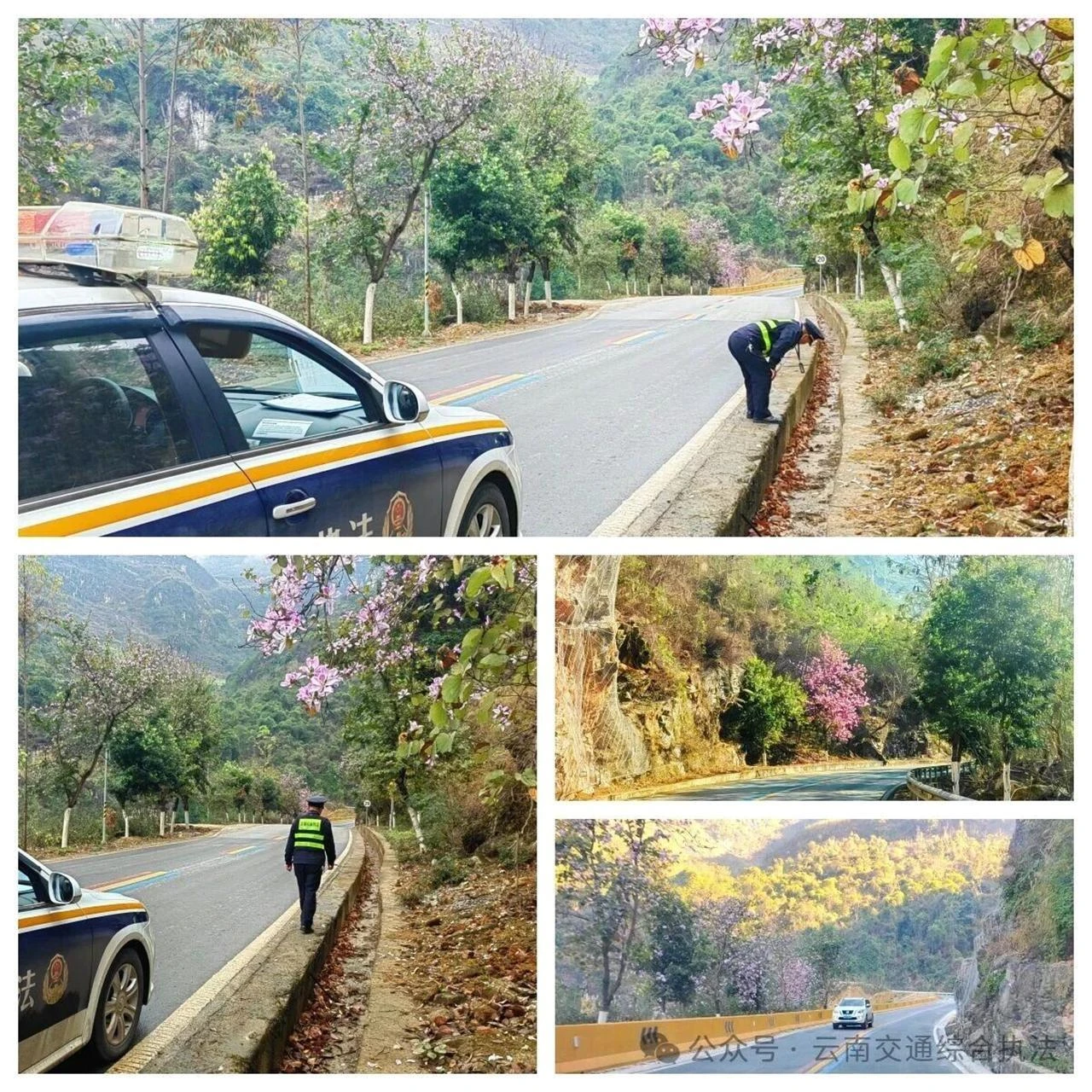 紫荆花开处，坦途映初心——文山支队富宁大队春节值守散记